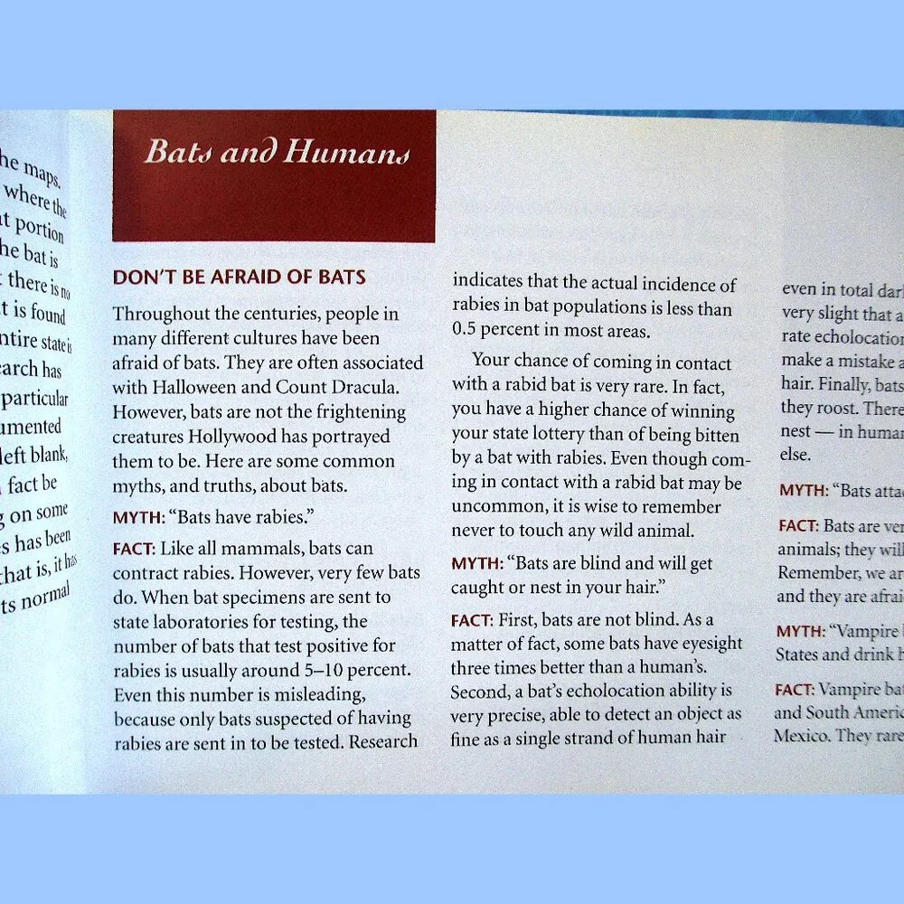 Book: Stokes Beginner's Guide to Bats -- a pocket-sized field guide - Picture 2 of 16